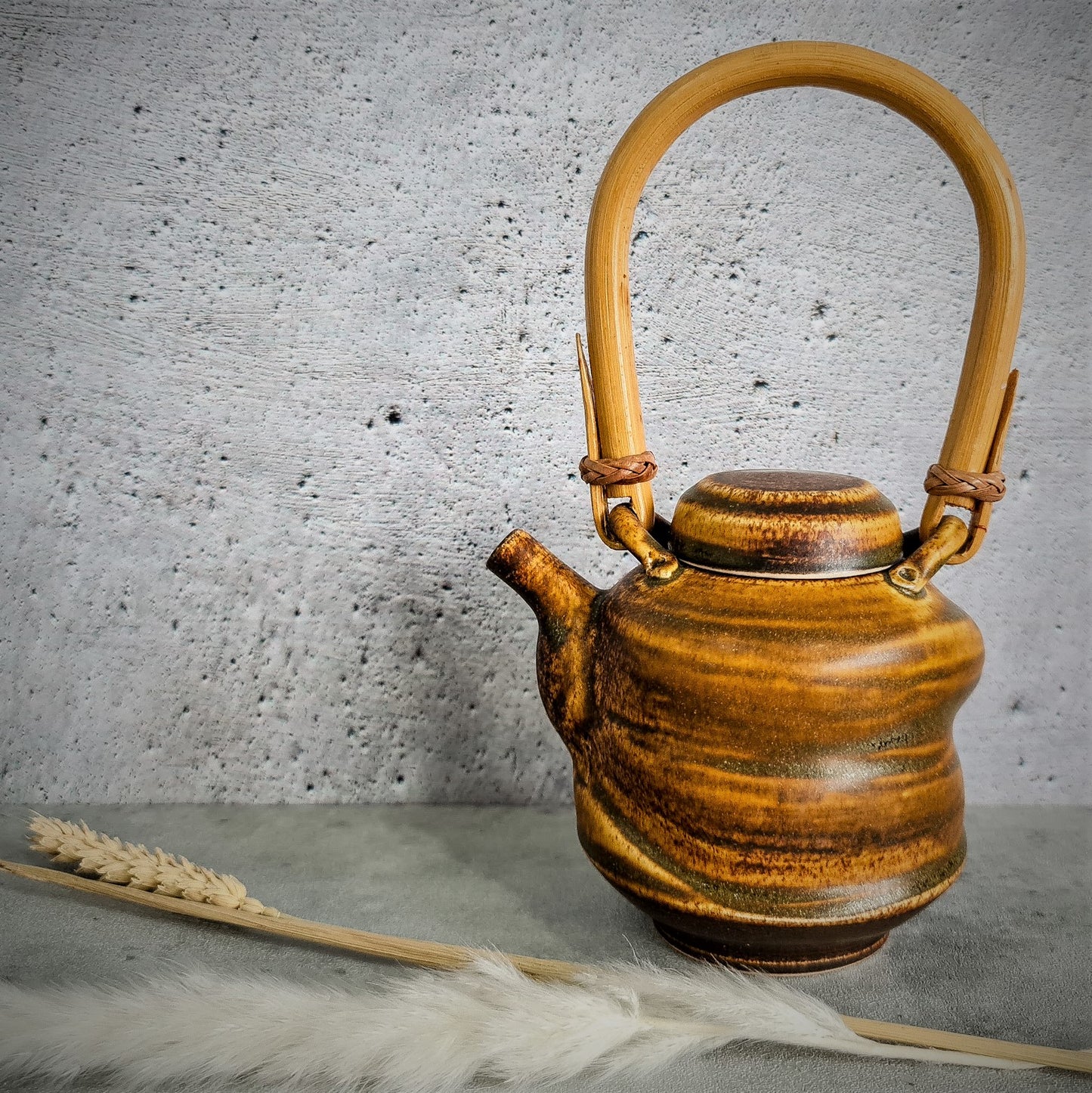 Tenmoku Series: Tea Pot I with Cane Handle